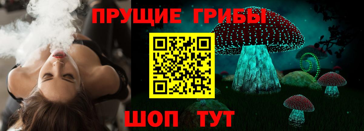 Псилоцибиновые грибы Cubensis  Галлюциногенные грибы ЛСД  Смоленск  Вход с VPN 
